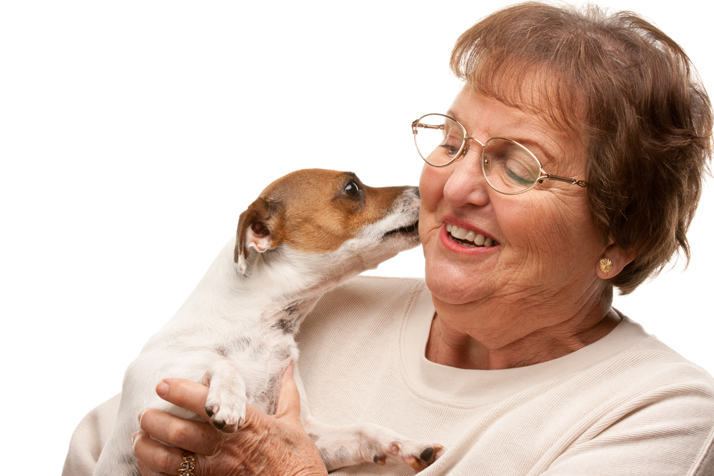 How Puppies Help the Elderly