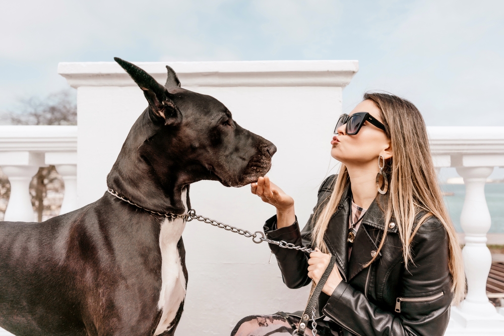 A fashionable, cosmopolitan woman makes a model kiss face at her majestic Great Dane dog while they sit on the veranda near the ocean. 