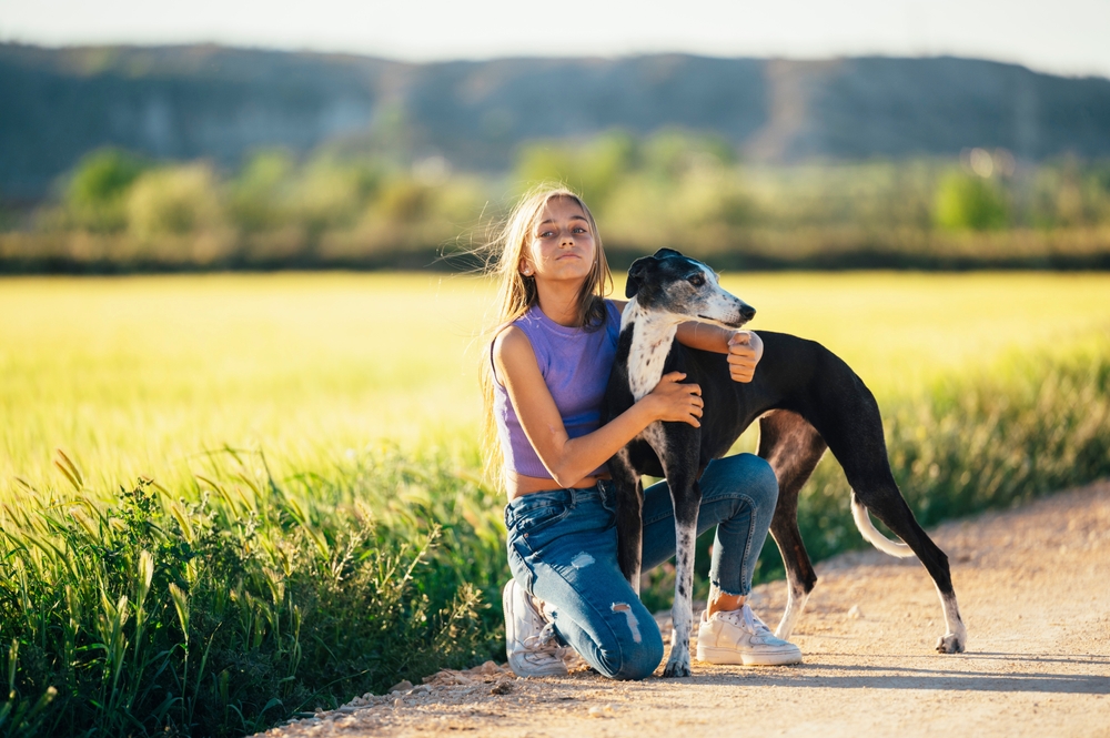 A teenage girl hugs her Italian Greyhound while out on a sunny walk, showing that this breed is great for responsible kids. 