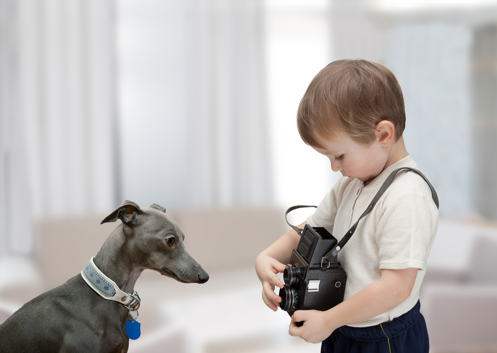 A cute little boy adjusts the lens of his camera so that he can take a good photo of his adorable, gray, purebred Italian Greyhound dog. 